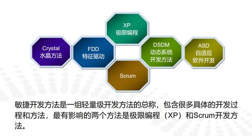 軟件工程期末復(fù)習(xí)總結(jié)（六） 軟件測(cè)試、維護(hù)與敏捷開發(fā)核心要義