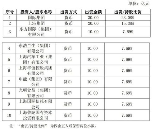 上海新設國企聚焦信息咨詢服務，打造數字化轉型新引擎