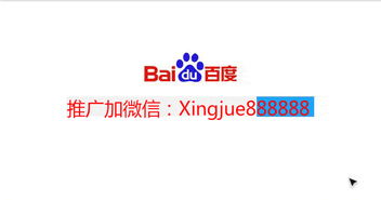 鼎力中國，飽倍兒崛起 享瘦生活新風尚與代理咨詢服務解析