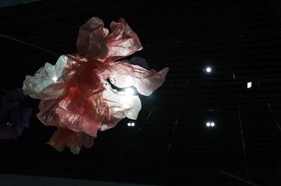 廈門仧美術館2021年度波普大展&ldquo;Art for All-安迪&middot;沃霍爾&rdquo;開幕