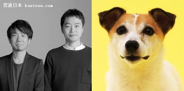 汪星人的住房需求，你懂嗎？電影攝制服務的視角